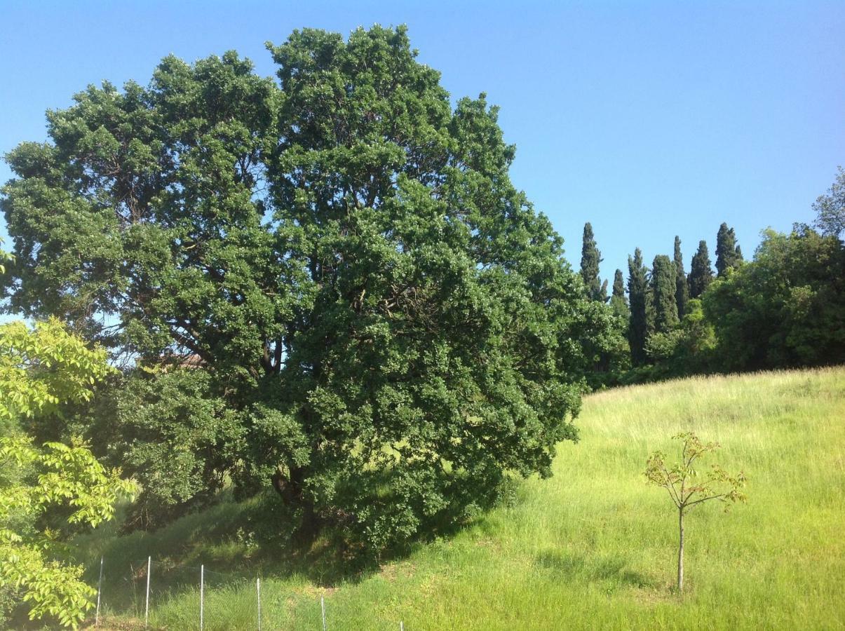 B&B Smile Fiorano Modenese Luaran gambar